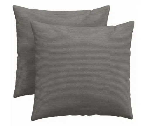 Sofa Pagalvės 2 Pcs Šviesiai Pilka 45 X 45 Cm