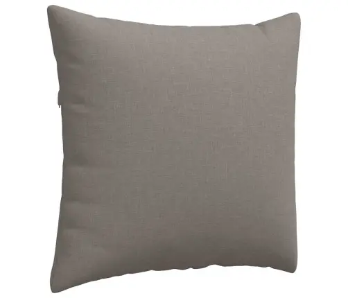 Diivanipadjad 2 Pcs Pruunikashall 50 X 50 Cm Kangas