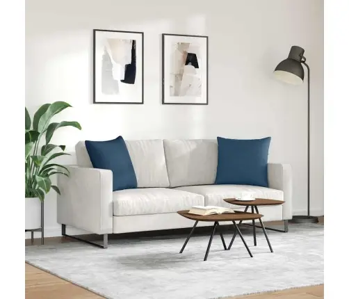 Diivanipadjad 2 Pcs Sinine 50 X 50 Cm Kangas