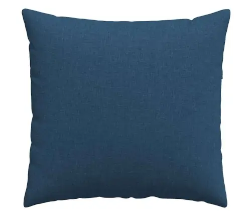 Diivanipadjad 2 Pcs Sinine 50 X 50 Cm Kangas