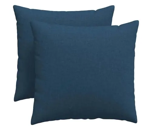 Diivanipadjad 2 Pcs Sinine 50 X 50 Cm Kangas