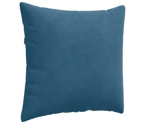 Diivanipadjad 2 Pcs Sinine 50 X 50 Cm Korter Kangas