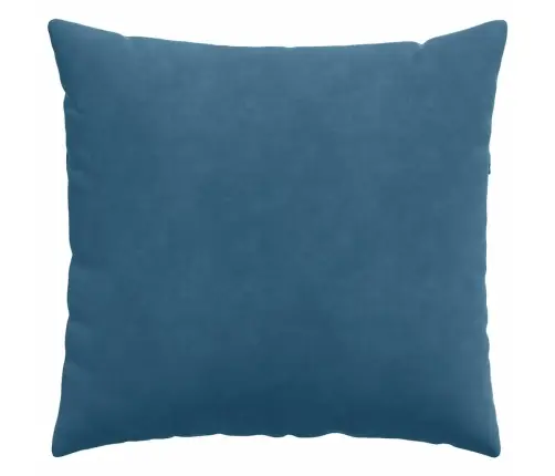 Diivanipadjad 2 Pcs Sinine 50 X 50 Cm Korter Kangas