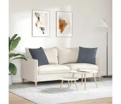 Dīvāna Spilveni 2 Pcs Tumši Pelēks 50 X 50 Cm Korduroja Audums Vidaxl