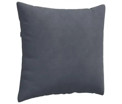 Dīvāna Spilveni 2 Pcs Tumši Pelēks 50 X 50 Cm Korduroja Audums Vidaxl