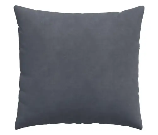 Dīvāna Spilveni 2 Pcs Tumši Pelēks 50 X 50 Cm Korduroja Audums Vidaxl