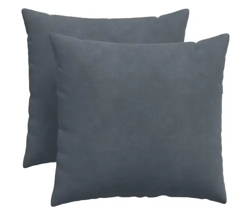 Dīvāna Spilveni 2 Pcs Tumši Pelēks 50 X 50 Cm Korduroja Audums Vidaxl