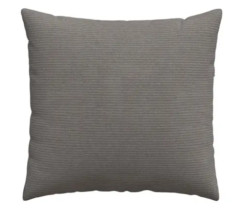 Dīvāna Spilveni 2 Pcs Gaiši Pelēks 50 X 50 Cm Korduroja Audums Vidaxl