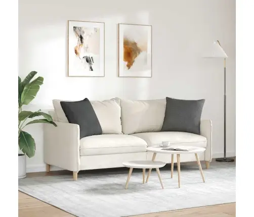 Dīvāna Spilveni 2 Pcs Tumši Pelēks 50 X 50 Cm Korduroja Audums Vidaxl