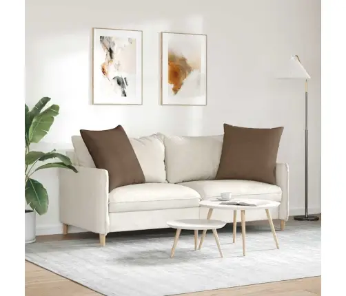 Sofa Pagalvės 2 Pcs Ruda 60 X 60 Cm Audinys