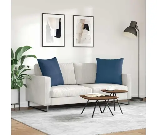 Diivanipadjad 2 Pcs Sinine 60 X 60 Cm Kangas