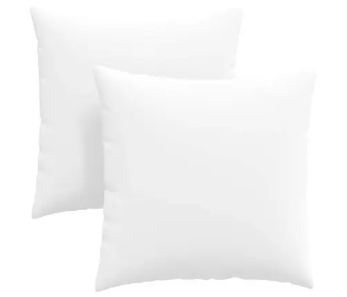 Diivanipadjad 2 Pcs Valge 60 X 60 Cm Kangas