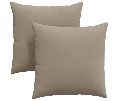 Diivanipadjad 2 Pcs Pruunikashall 60 X 60 Cm Kangas