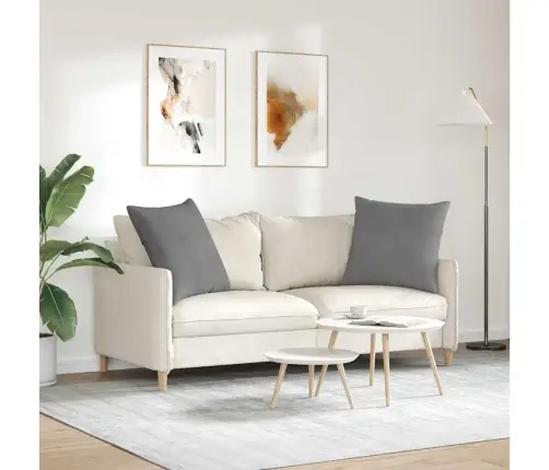 Diivanipadjad 2 Pcs Tumehall 60 X 60 Cm Kangas