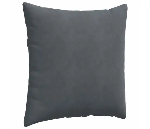 Diivanipadjad 2 Pcs Tumehall 80 X 80 Cm Korter Kangas