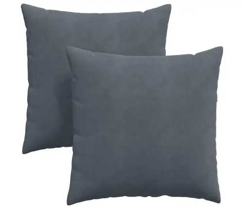 Diivanipadjad 2 Pcs Tumehall 80 X 80 Cm Korter Kangas