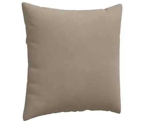 Sofa Pagalvės 2 Pcs Taupe 80 X 80 Cm Audinys