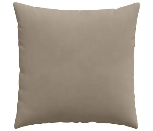 Sofa Pagalvės 2 Pcs Taupe 80 X 80 Cm Audinys