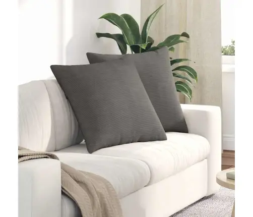 Sofa Pagalvės 2 Pcs Šviesiai Pilka 80 X 80 Cm