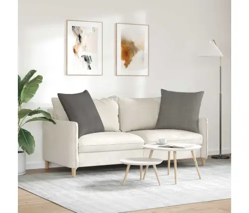 Sofa Pagalvės 2 Pcs Šviesiai Pilka 80 X 80 Cm