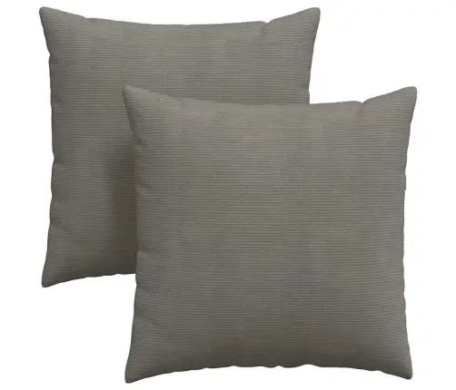 Sofa Pagalvės 2 Pcs Šviesiai Pilka 80 X 80 Cm