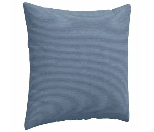 Diivanipadjad 2 Pcs Sinine 80 X 80 Cm Korter Kangas