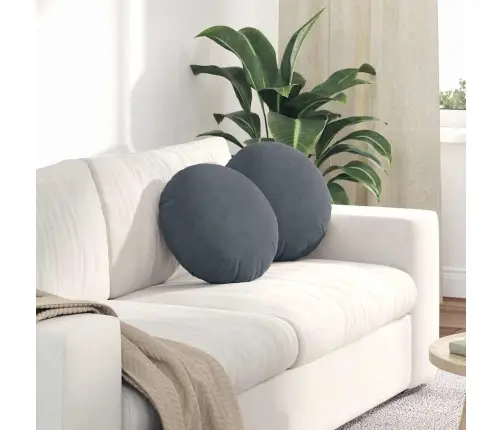 Sėdynių Pagalvėlės 2 Pcs Tamsiai Pilka Ø 40 X 13 Cm Aksomas