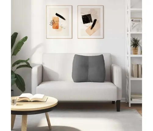 Apsaugos Pagalvė Tamsiai Pilka 60 X 24 X 50 Cm Audinys