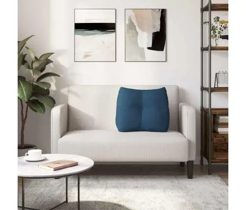 Atpakaļ Spilvens Zila 60 X 24 X 50 Cm Audums Vidaxl