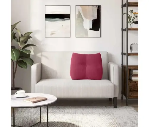 Atpakaļ Spilvens Vīna Sarkans 60 X 24 X 50 Cm Samts Vidaxl