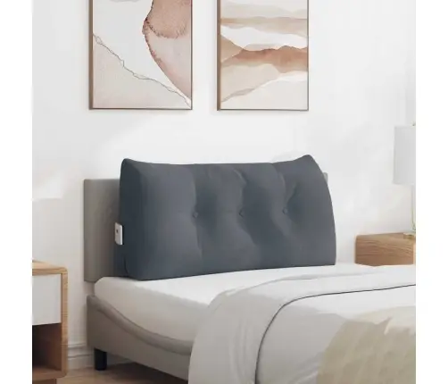 Atpakaļ Spilvens Tumši Pelēks 100 X 24 X 50 Cm Samts Vidaxl