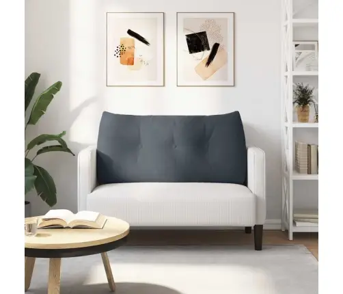 Atpakaļ Spilvens Tumši Pelēks 100 X 24 X 50 Cm Samts Vidaxl