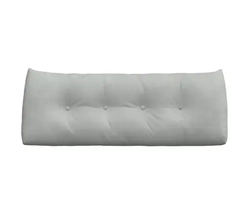 Atpakaļ Spilvens Gaiši Pelēks 120 X 24 X 50 Cm Samts Vidaxl