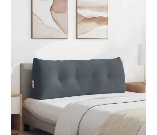 Atpakaļ Spilvens Tumši Pelēks 120 X 24 X 50 Cm Samts Vidaxl