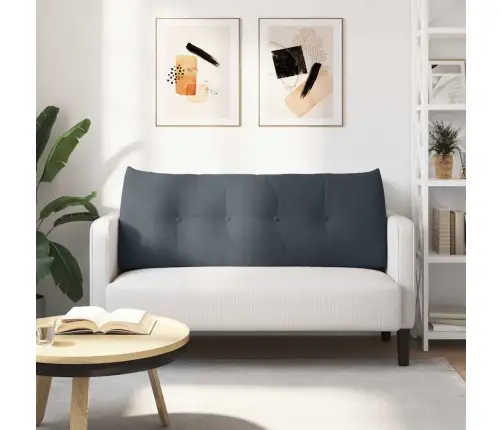 Atpakaļ Spilvens Tumši Pelēks 120 X 24 X 50 Cm Samts Vidaxl