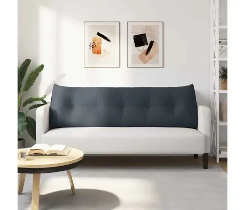 Atpakaļ Spilvens Tumši Pelēks 160 X 24 X 50 Cm Samts Vidaxl