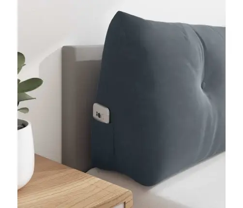 Atpakaļ Spilvens Tumši Pelēks 160 X 24 X 50 Cm Samts Vidaxl