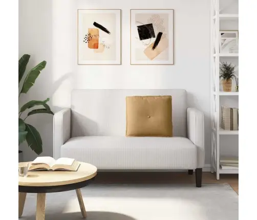 Atpakaļ Spilvens Brūna 50 X 45 Cm Korduroja Audums Vidaxl