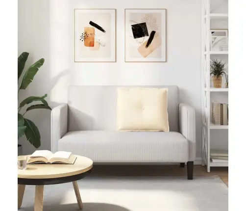 Apsaugos Pagalvė Kreminė 60 X 50 Cm Kordūrinis Audinys