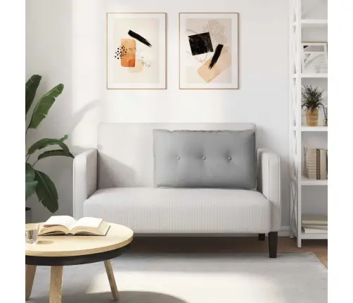 Apsaugos Pagalvė Debesų Pilka 80 X 19 X 50 Cm Audinys