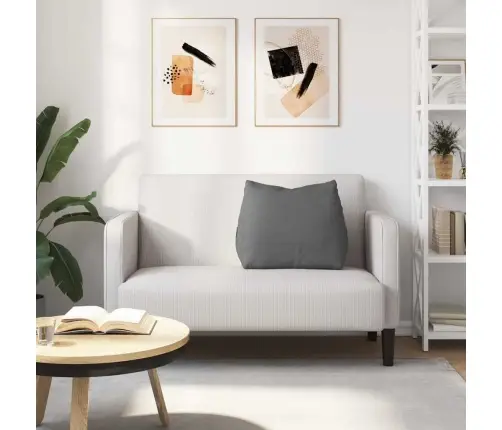 Apsaugos Pagalvė Tamsiai Pilka 60 X 20 X 50 Cm Audinys