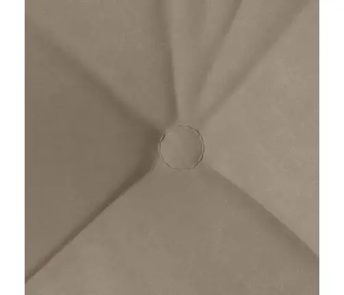 Sėdynių Pagalvėlės 4 Pcs Taupe 45 X 45 Cm Mikropluošto Audinys