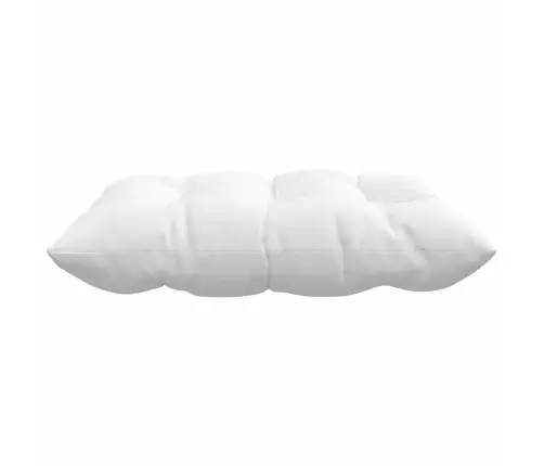 Sēdvietas Spilventiņi 2 Pcs Balts 40 X 40 X 6 Cm Audums Vidaxl