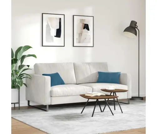 Diivanipadjad 2 Pcs Sinine 50 X 30 Cm Korter Kangas