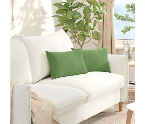 Dīvāna Spilveni 2 Pcs Gaiši Zaļa 50 X 30 Cm Korduroja Audums Vidaxl