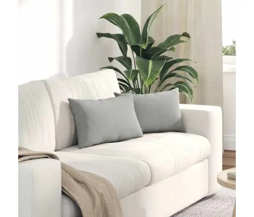 Diivanipadjad 2 Pcs Helehall 50 X 30 Cm Kangas