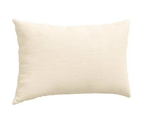 Dīvāna Spilveni 2 Pcs Krēmkrāsa 50 X 30 Cm Korduroja Audums Vidaxl