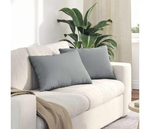 Dīvāna Spilveni 2 Pcs Gaiši Pelēka 40 X 60 Cm Vidaxl