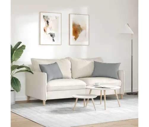 Dīvāna Spilveni 2 Pcs Gaiši Pelēka 40 X 60 Cm Vidaxl