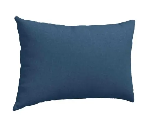 Sofa Pagalvės 2 Pcs Mėlyna 60 X 40 Cm Audinys